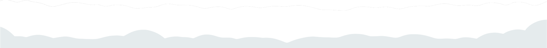 Footer Highlights